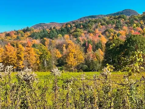 0 Applesauce Hill Road Castleton VT 05735