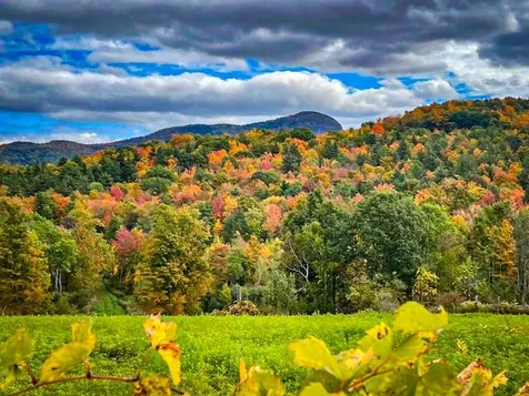 0 Applesauce Hill Road Castleton VT 05735