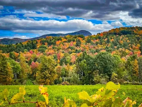0 Applesauce Hill Road Castleton VT 05735