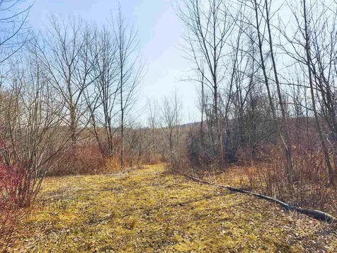 0 Applesauce Hill Road Castleton VT 05735