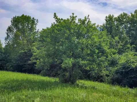 0 Applesauce Hill Road Castleton VT 05735