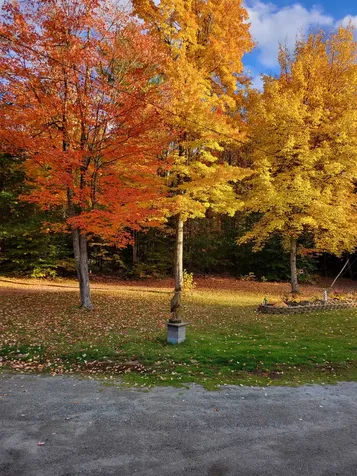461 Butson Road Lisbon NH 03585