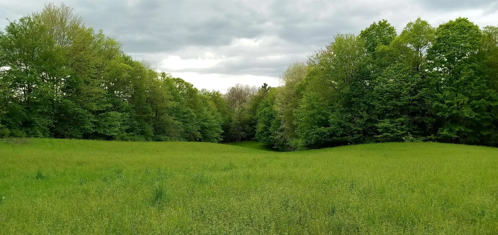 658 Lower Elmore Mt. Road Morristown VT 05661