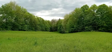 658 Lower Elmore Mt. Road Morristown VT 05661