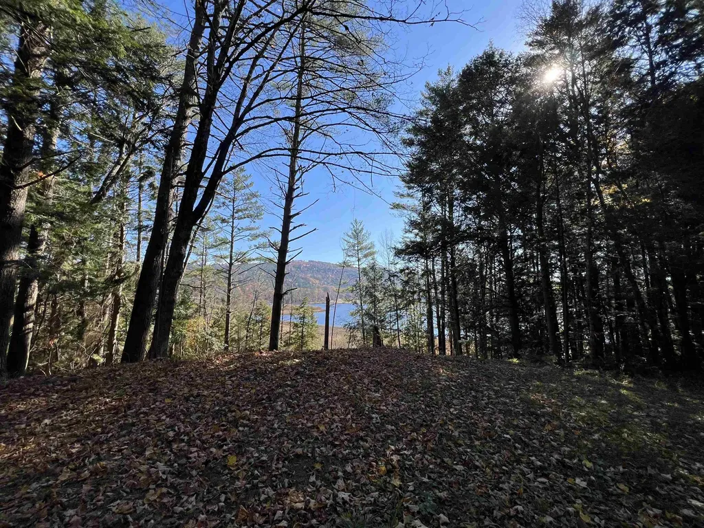 31 Post Pond Lane Lyme NH 03768