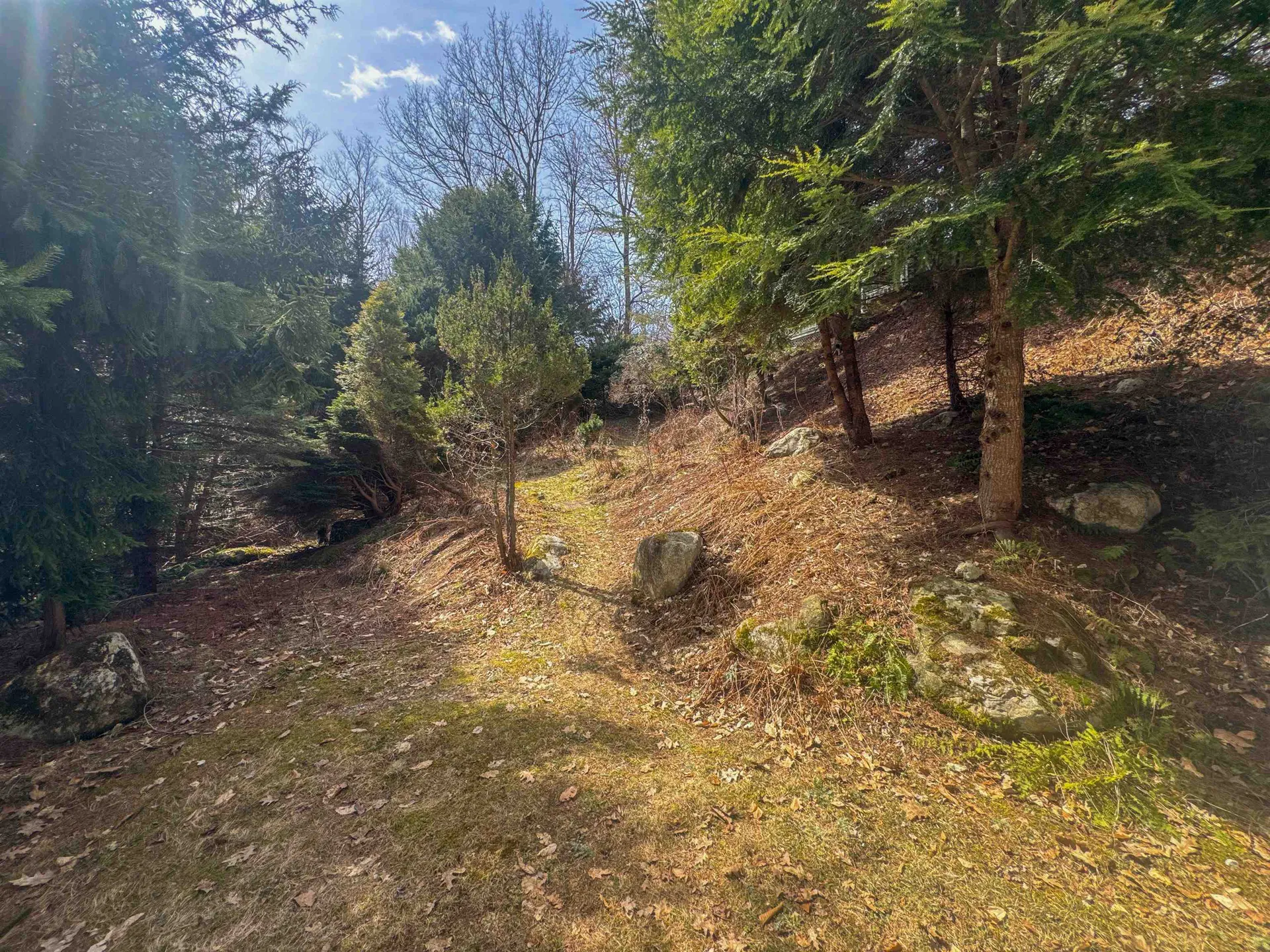 1658 Route 100 N Ludlow VT 05149