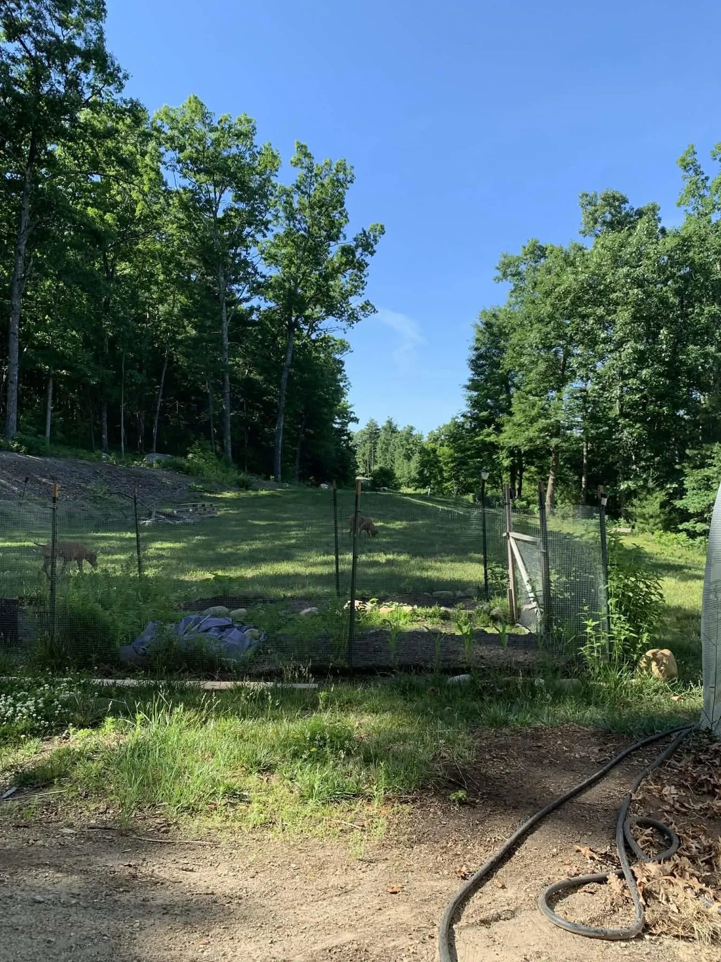 23 Valleyview Drive Merrimack NH 03054