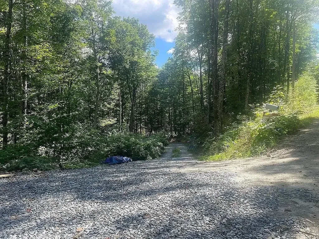 126 Downing Road Topsham VT 05076