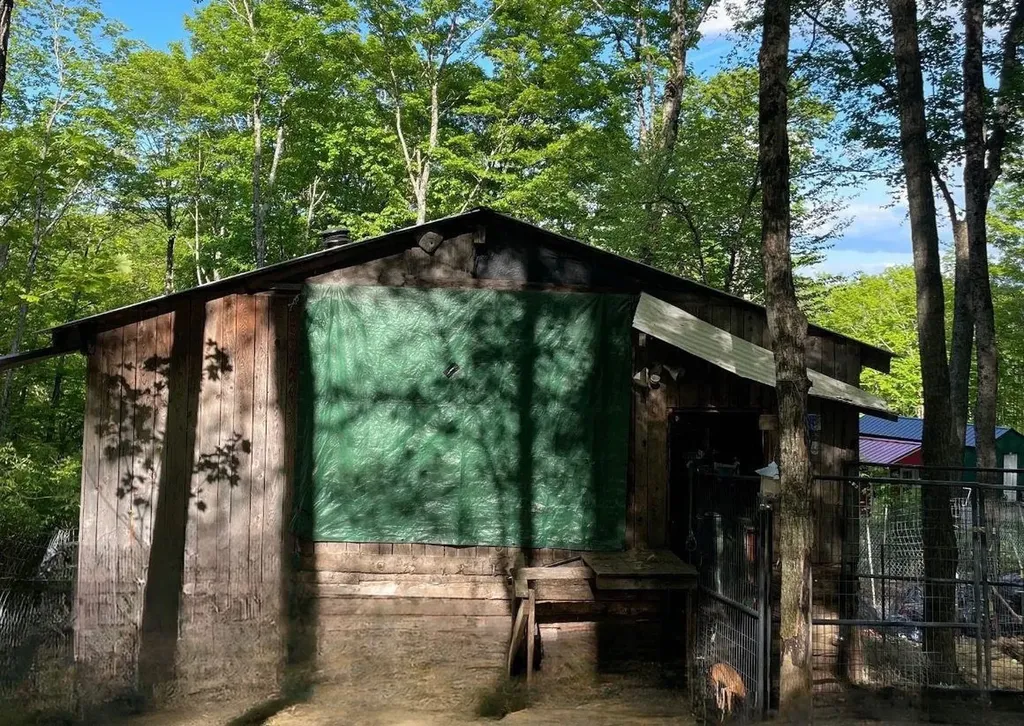 126 Downing Road Topsham VT 05076