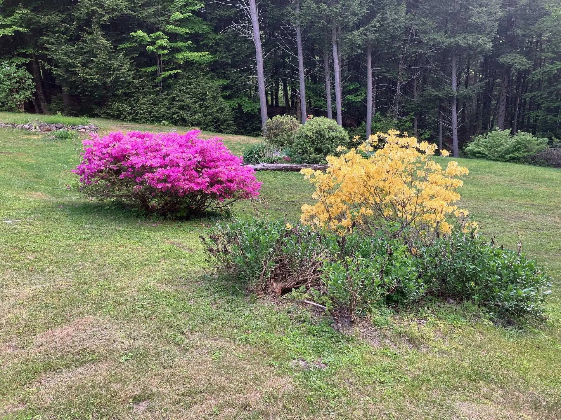 126 Hobart Hill Road Hebron NH 03241