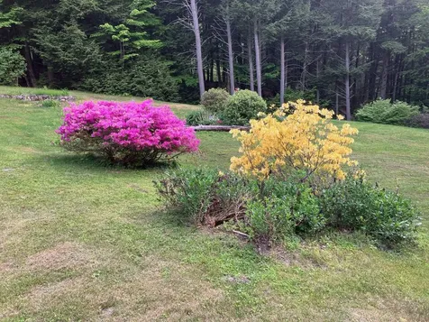 126 Hobart Hill Road Hebron NH 03241