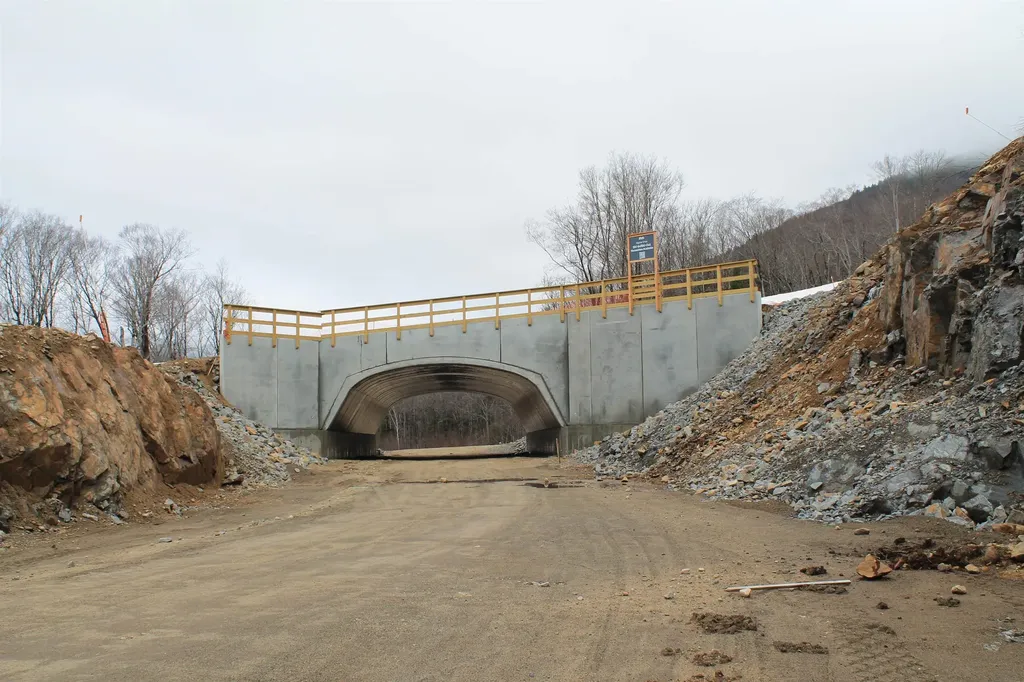 47 Alpine Drive Lincoln NH 03251