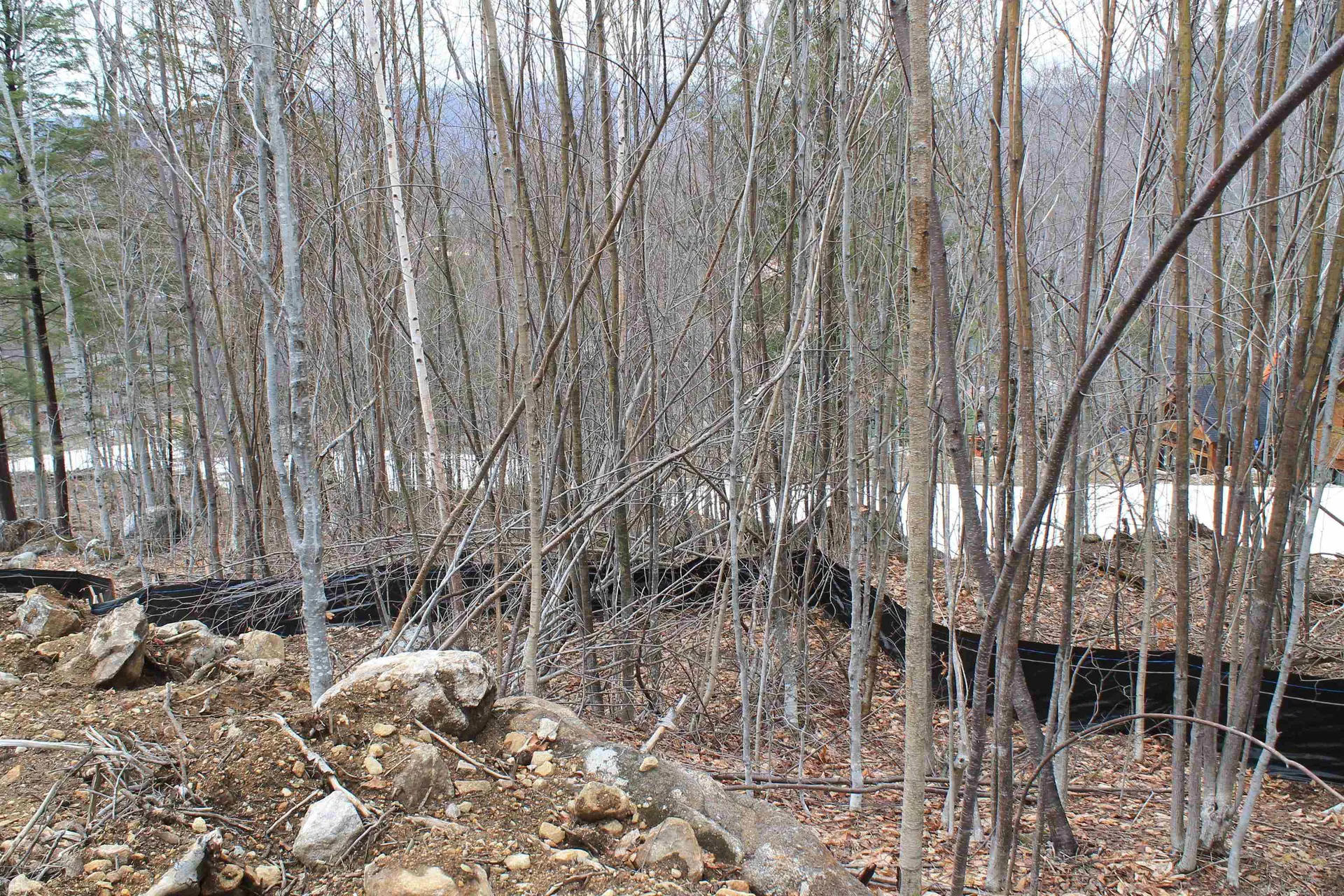47 Alpine Drive Lincoln NH 03251