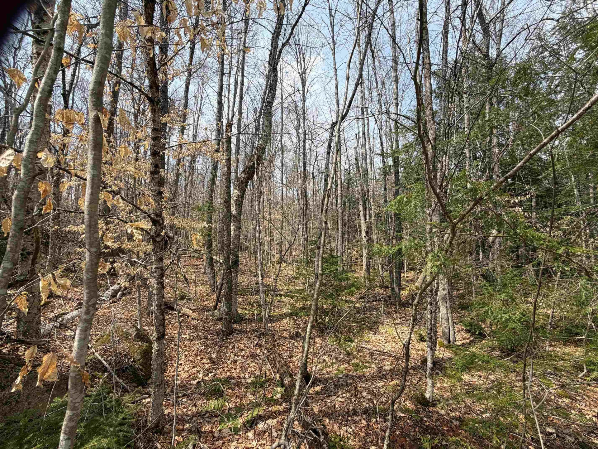 00 Hickory Overlook Enfield NH 03748