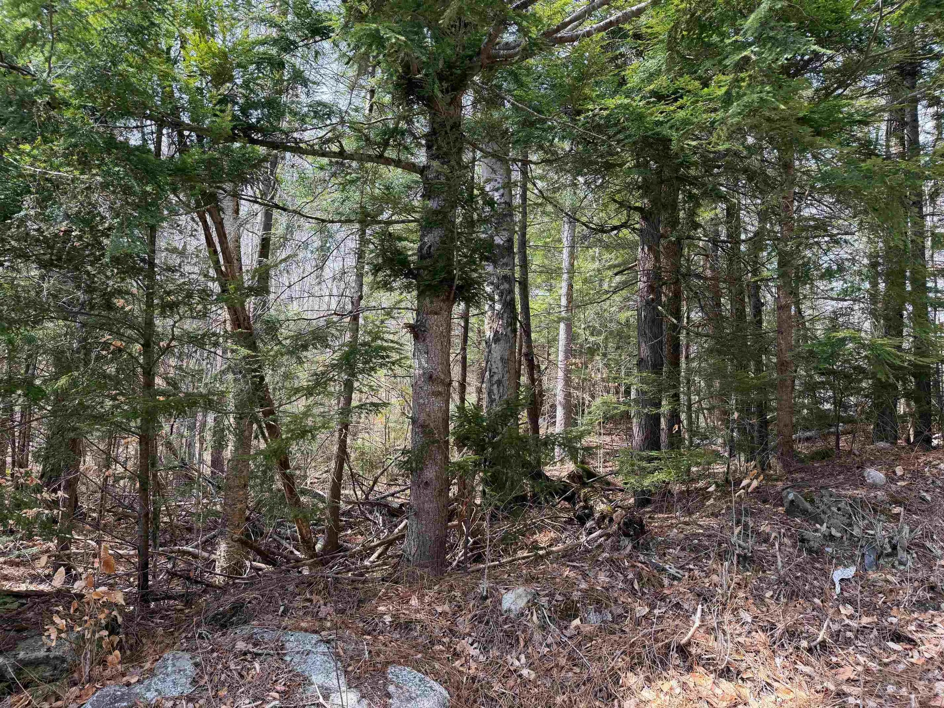 00 Hickory Overlook Enfield NH 03748
