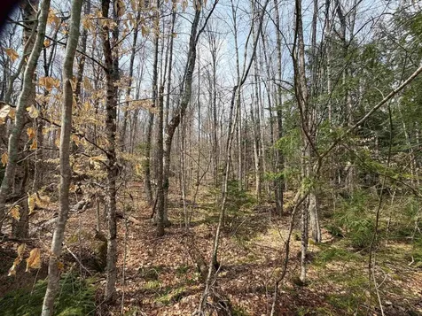 00 Hickory Overlook Enfield NH 03748