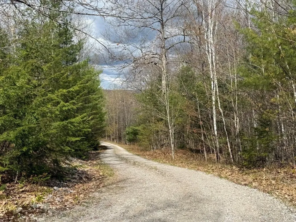 77 Williams Road Orange NH 03741