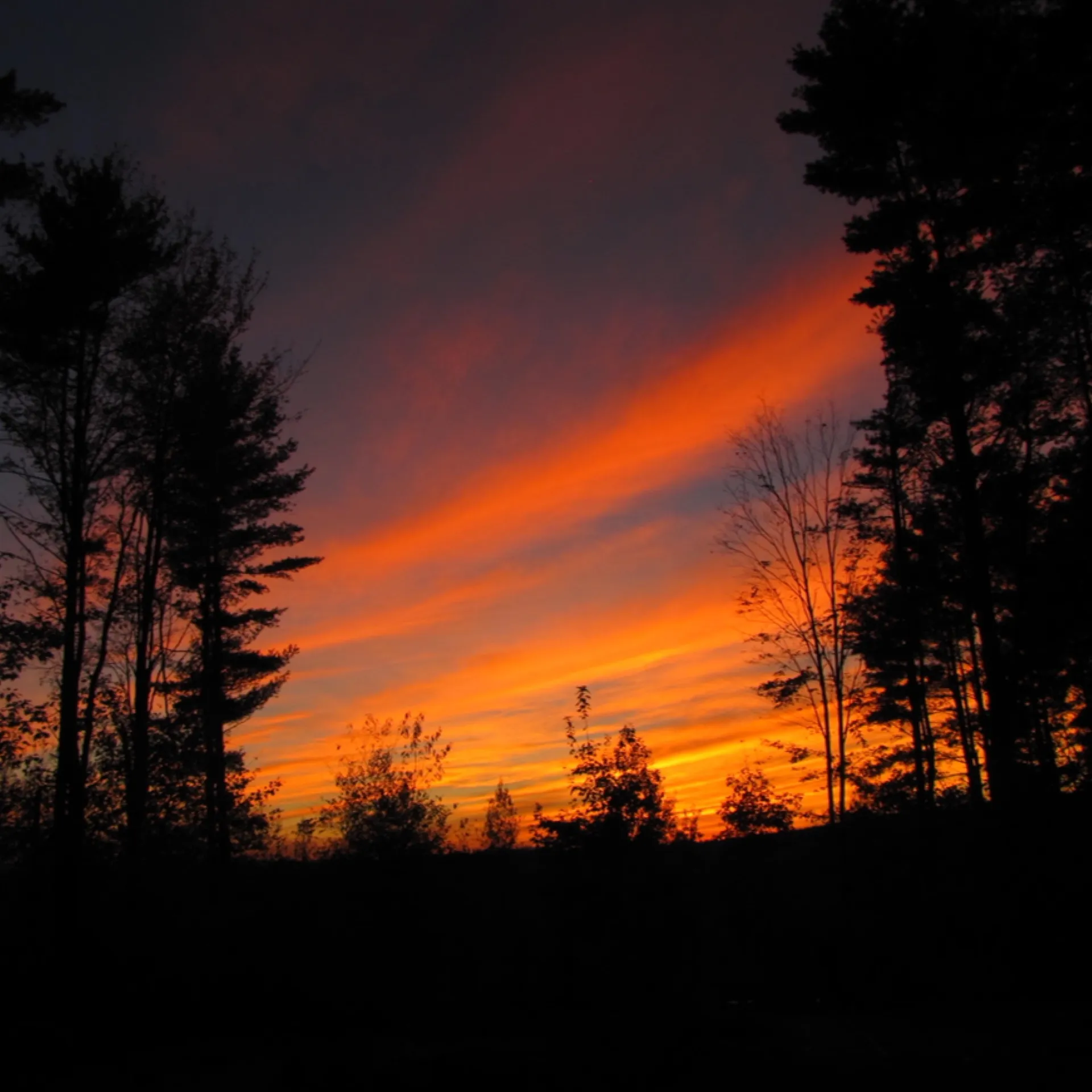 7 Cedar Court Essex VT 05452