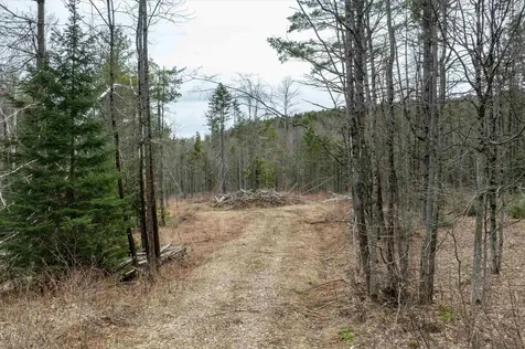 Dix Hill Road Ludlow VT 05149
