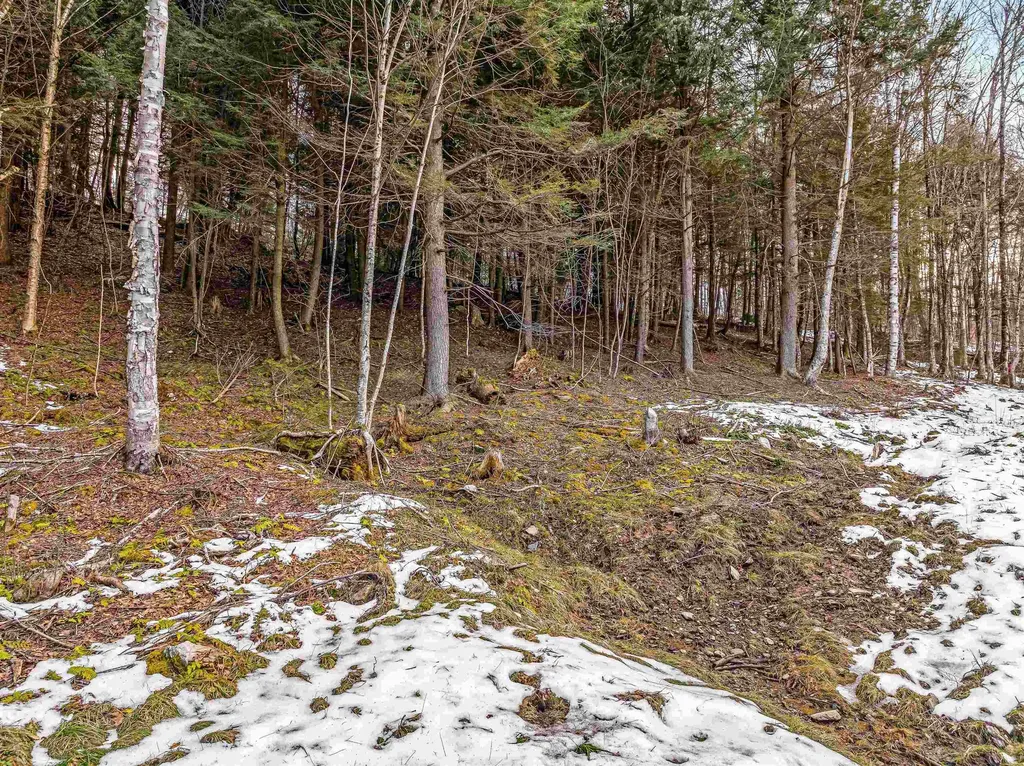 4B Craig Lane Cambridge VT 05444