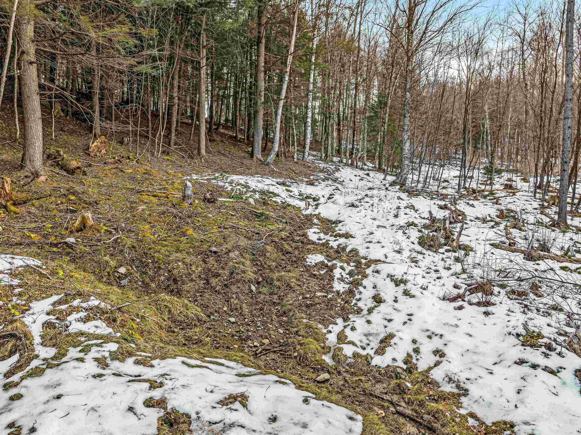 4B Craig Lane Cambridge VT 05444