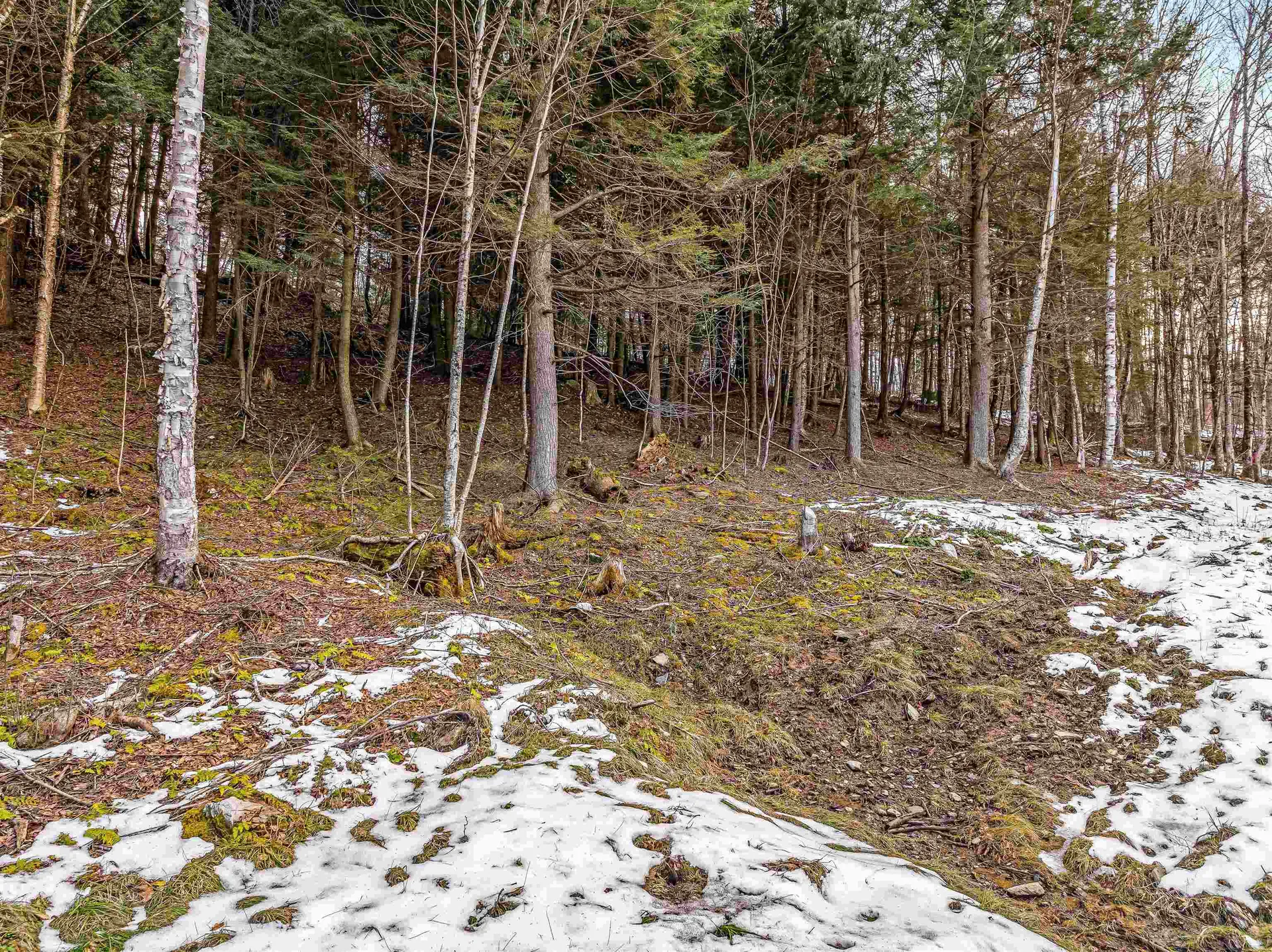4B Craig Lane Cambridge VT 05444