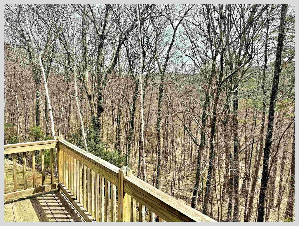 81 Richardson Trail Campton NH 03223
