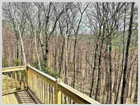 81 Richardson Trail Campton NH 03223
