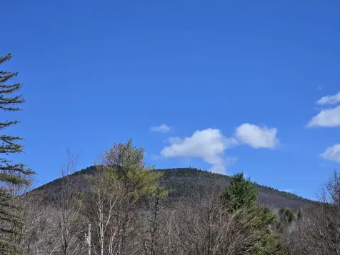 1089 Nh Route 16 Bartlett NH 03838