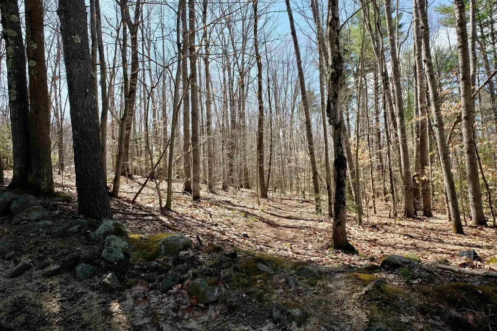 111 Page Road Bow NH 03304