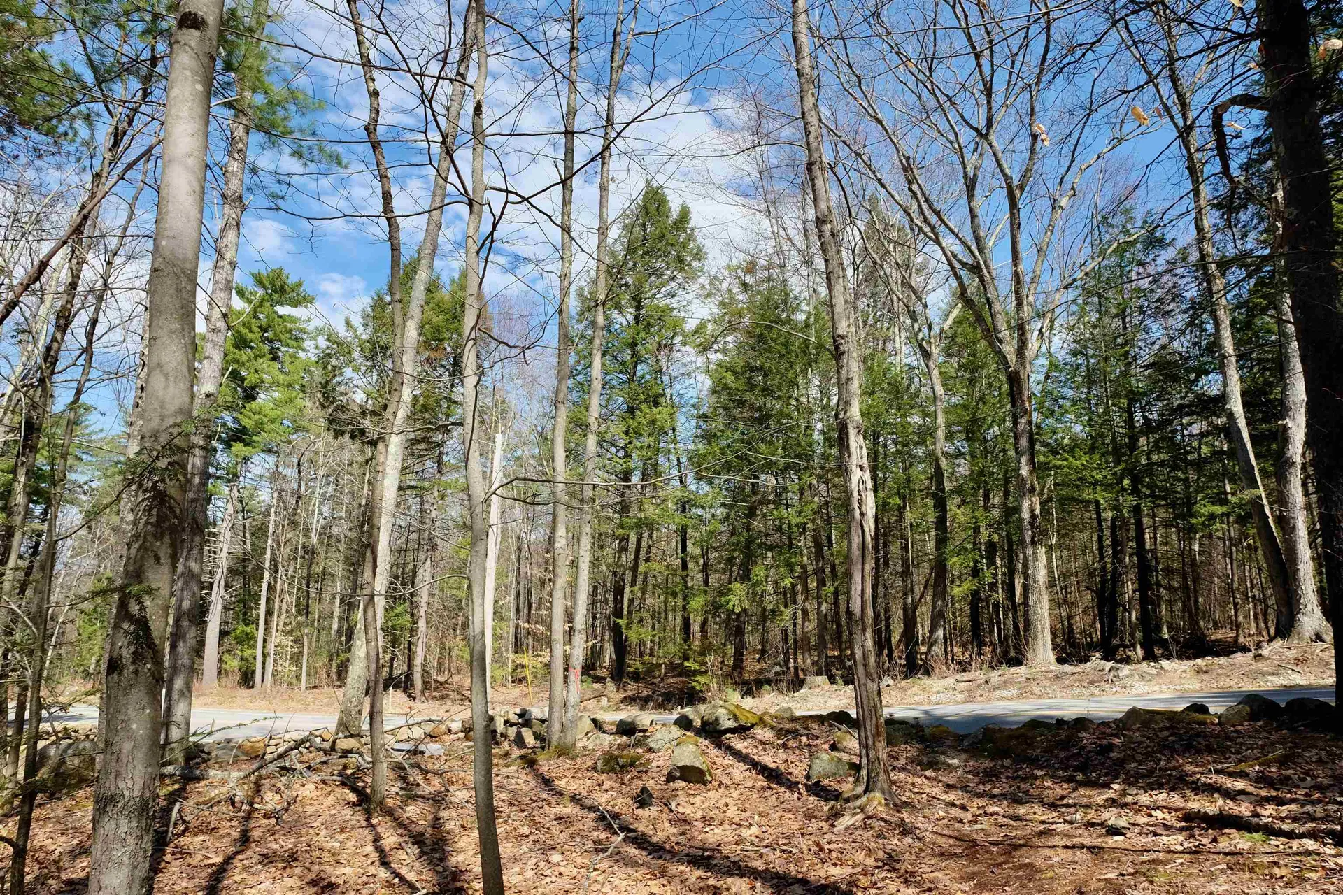 111 Page Road Bow NH 03304