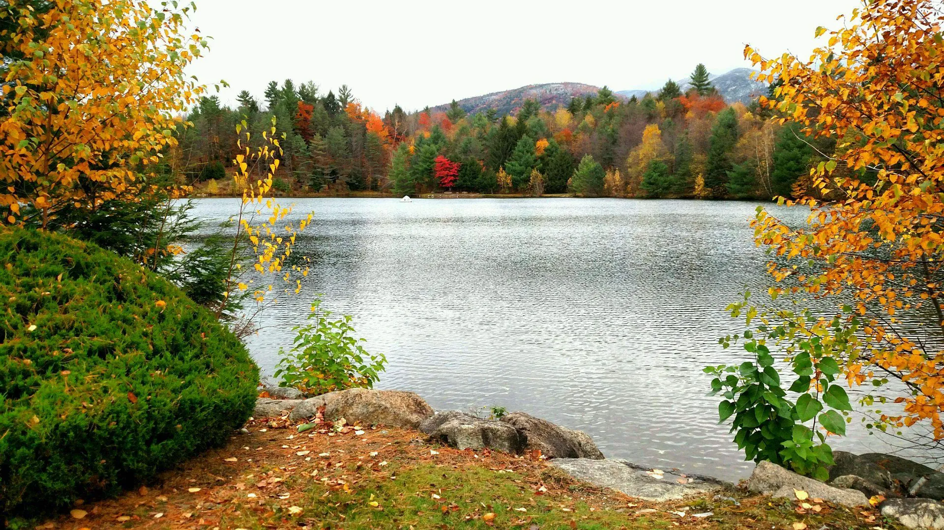164 Deer Park Drive Woodstock NH 03262