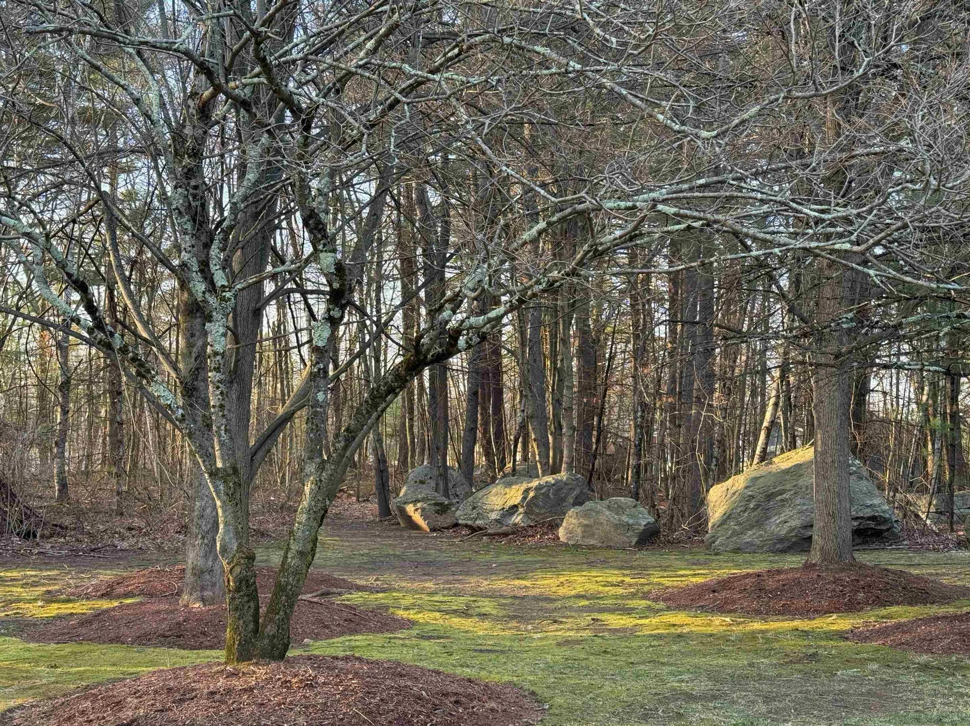 2 Maple Ridge Drive Merrimack NH 03054