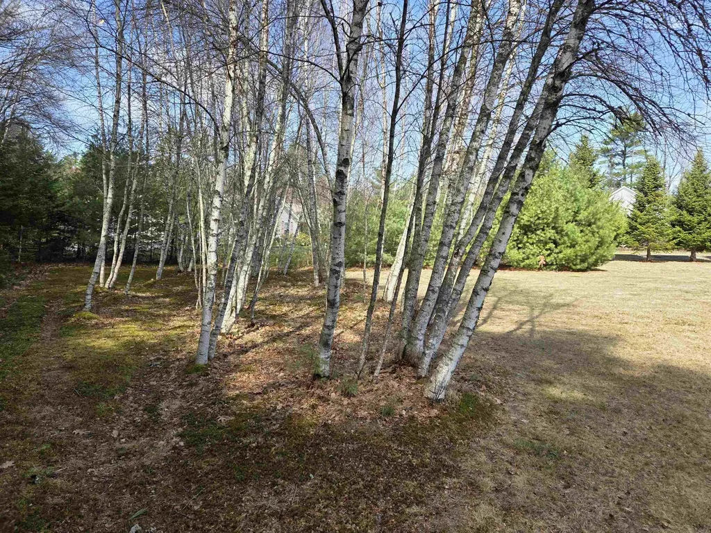 12 Mallard Drive Canaan NH 03741