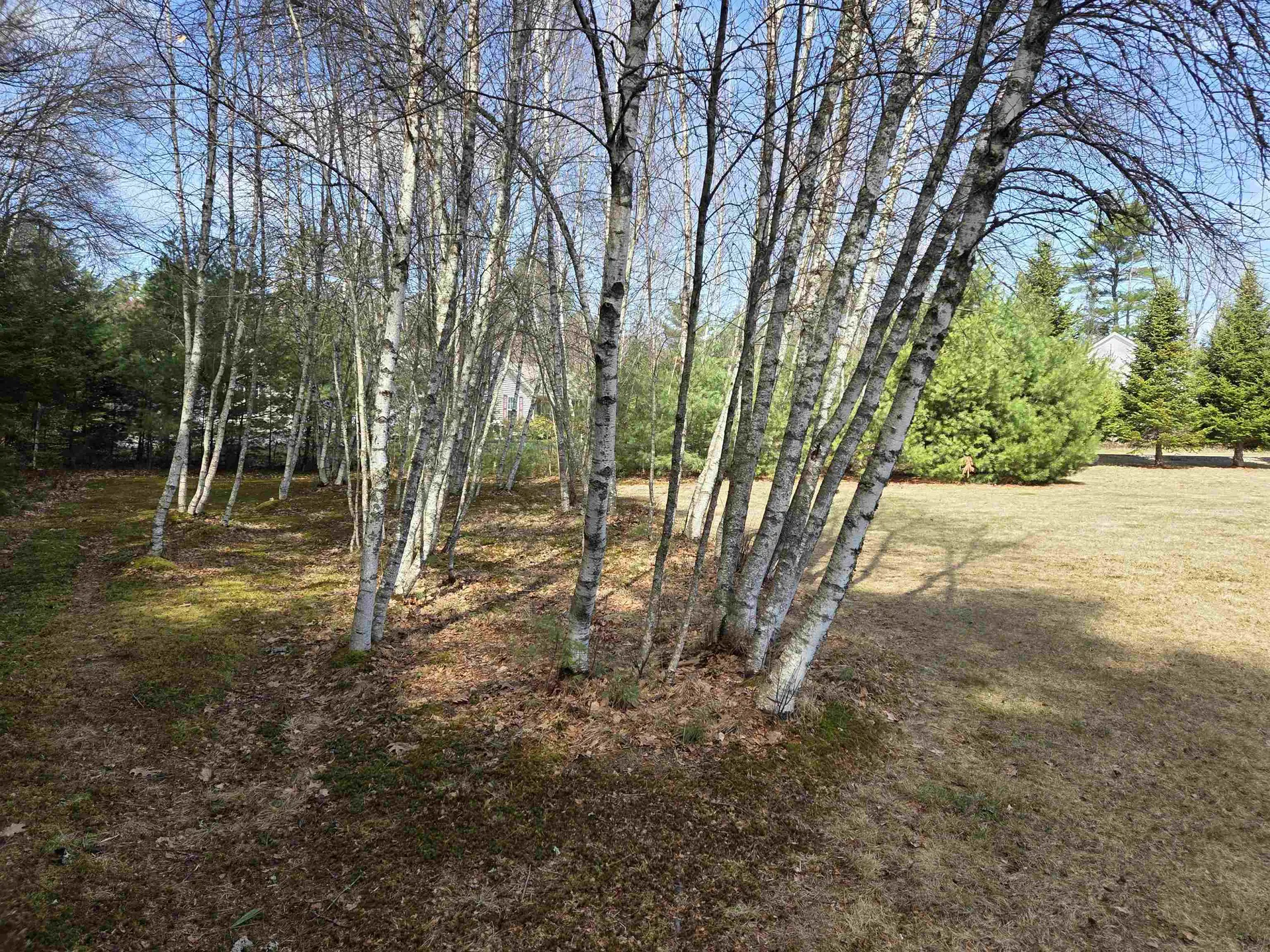 12 Mallard Drive Canaan NH 03741