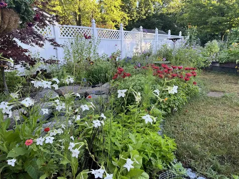 19 Grand Avenue Nashua NH 03060