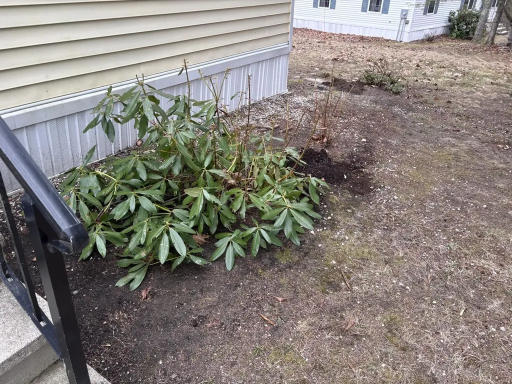 17 Harvey Brook Road Wolfeboro NH 03894
