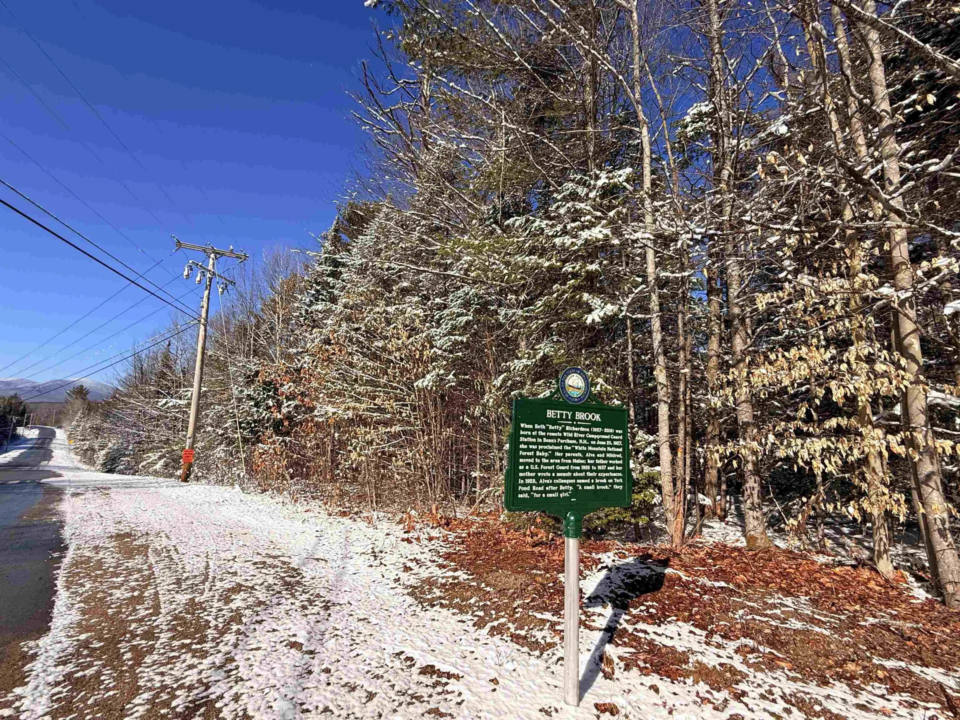 0 York Pond Road Milan NH 03588