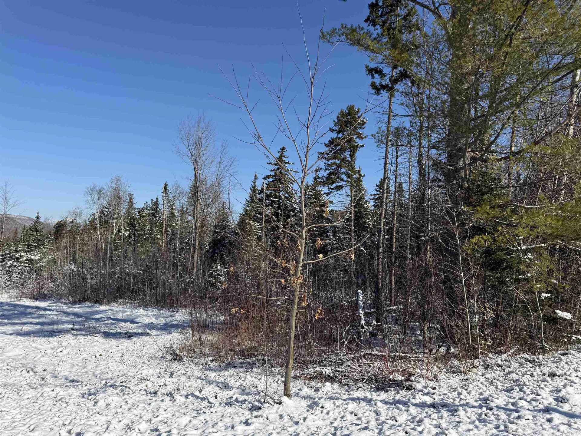 0 York Pond Road Milan NH 03588