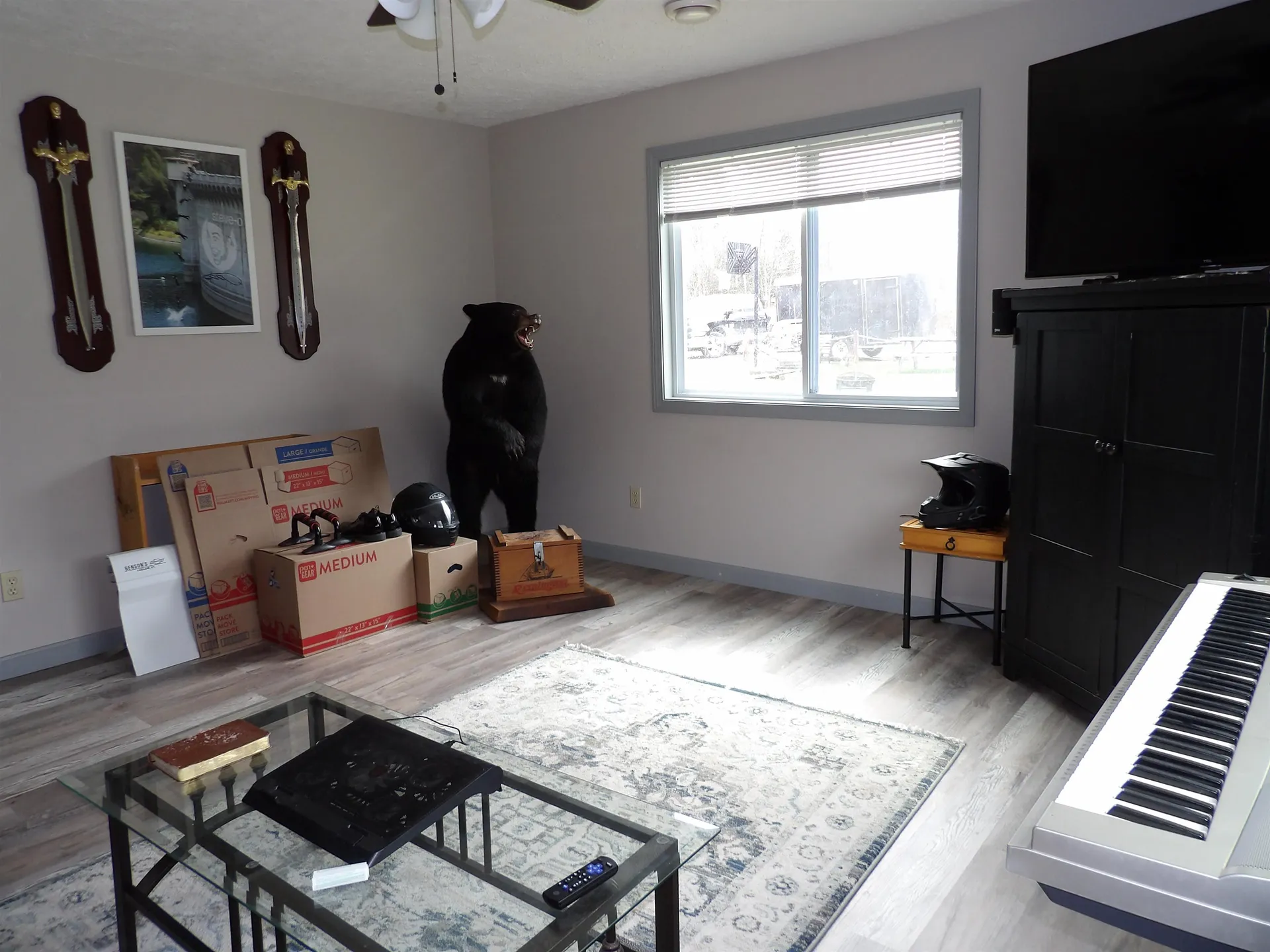 76 Meadowview Lane Mount Holly VT 05758