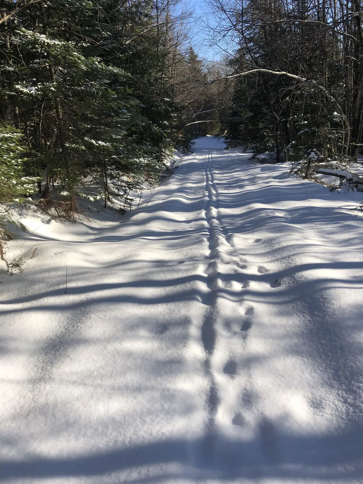 1511 West Hill Road Lincoln VT 05443