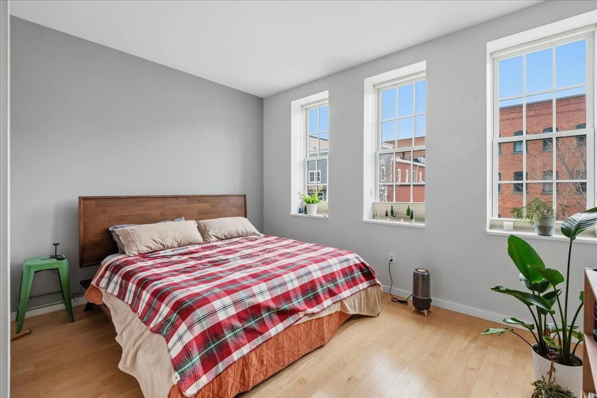 161 St. Paul Street Burlington VT 05401