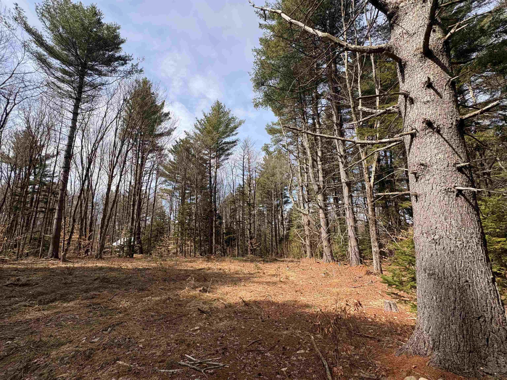 70 Deer Hill Road Whitingham VT 05361