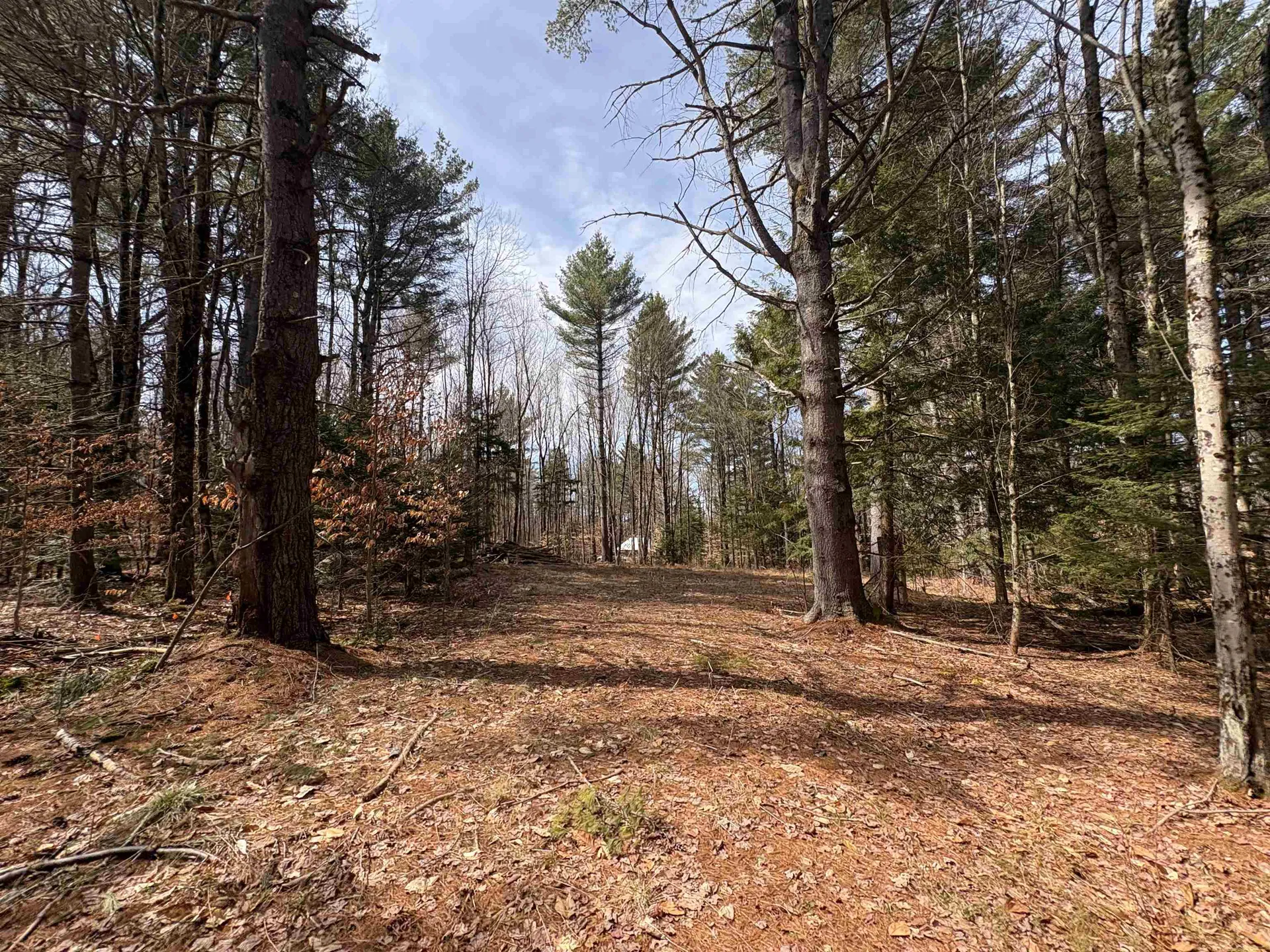 70 Deer Hill Road Whitingham VT 05361