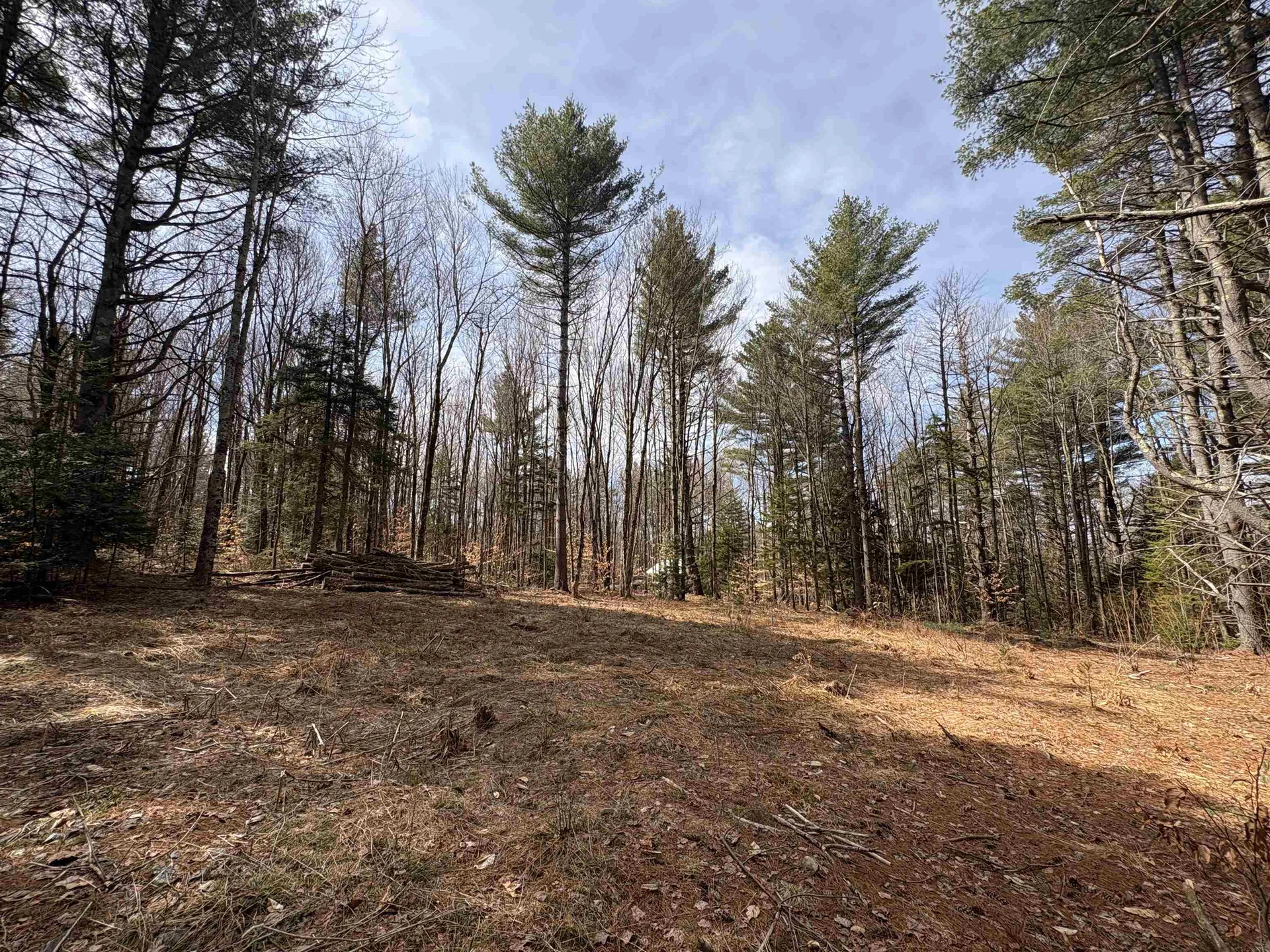 70 Deer Hill Road Whitingham VT 05361
