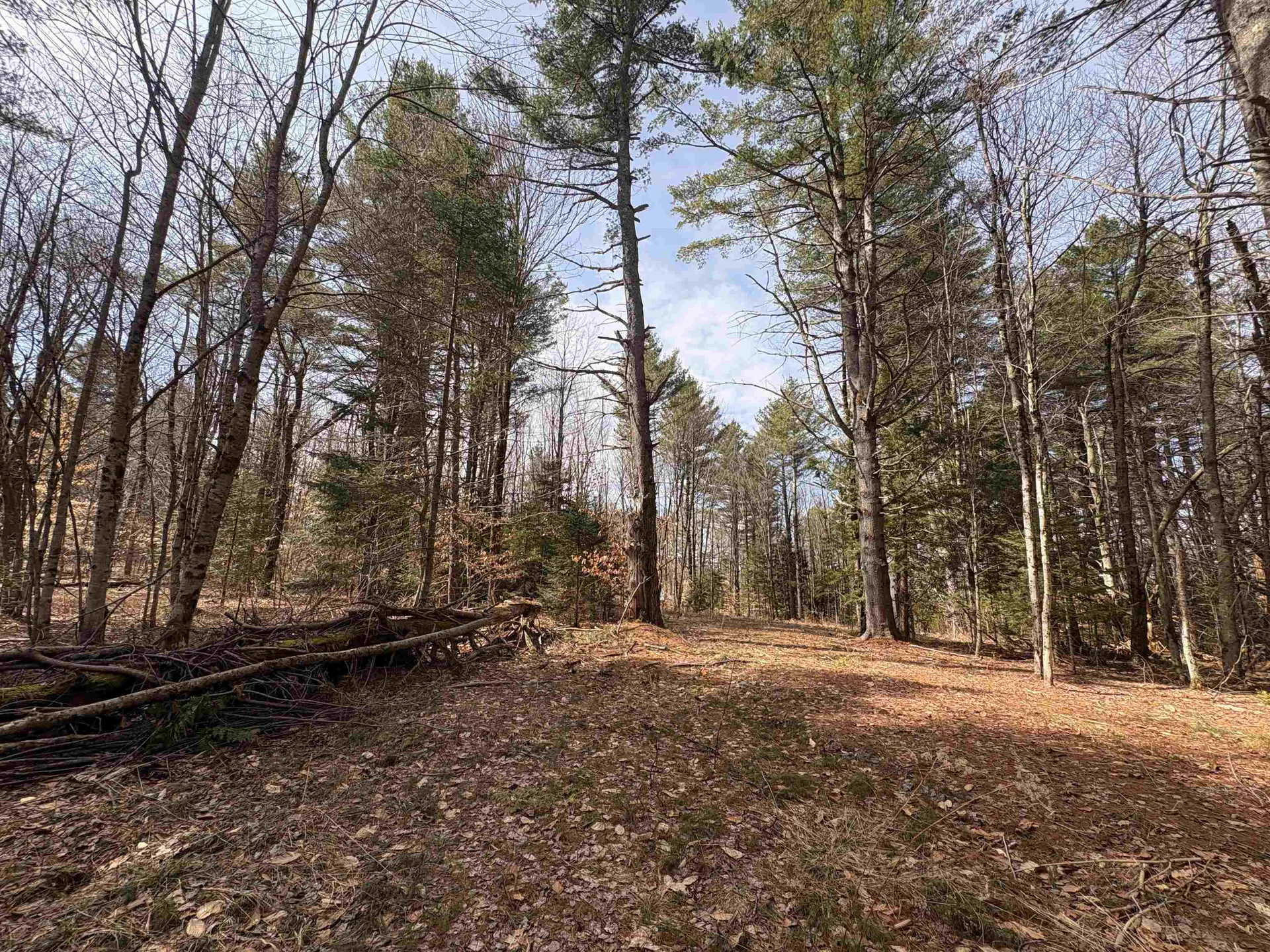 70 Deer Hill Road Whitingham VT 05361