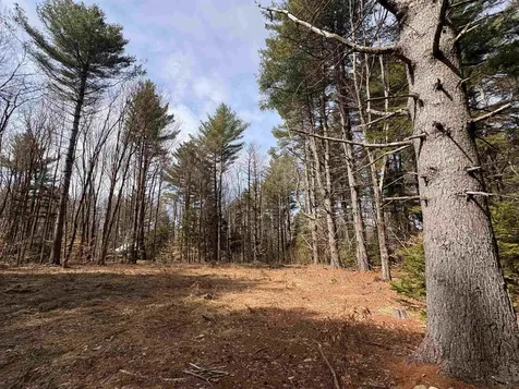 70 Deer Hill Road Whitingham VT 05361