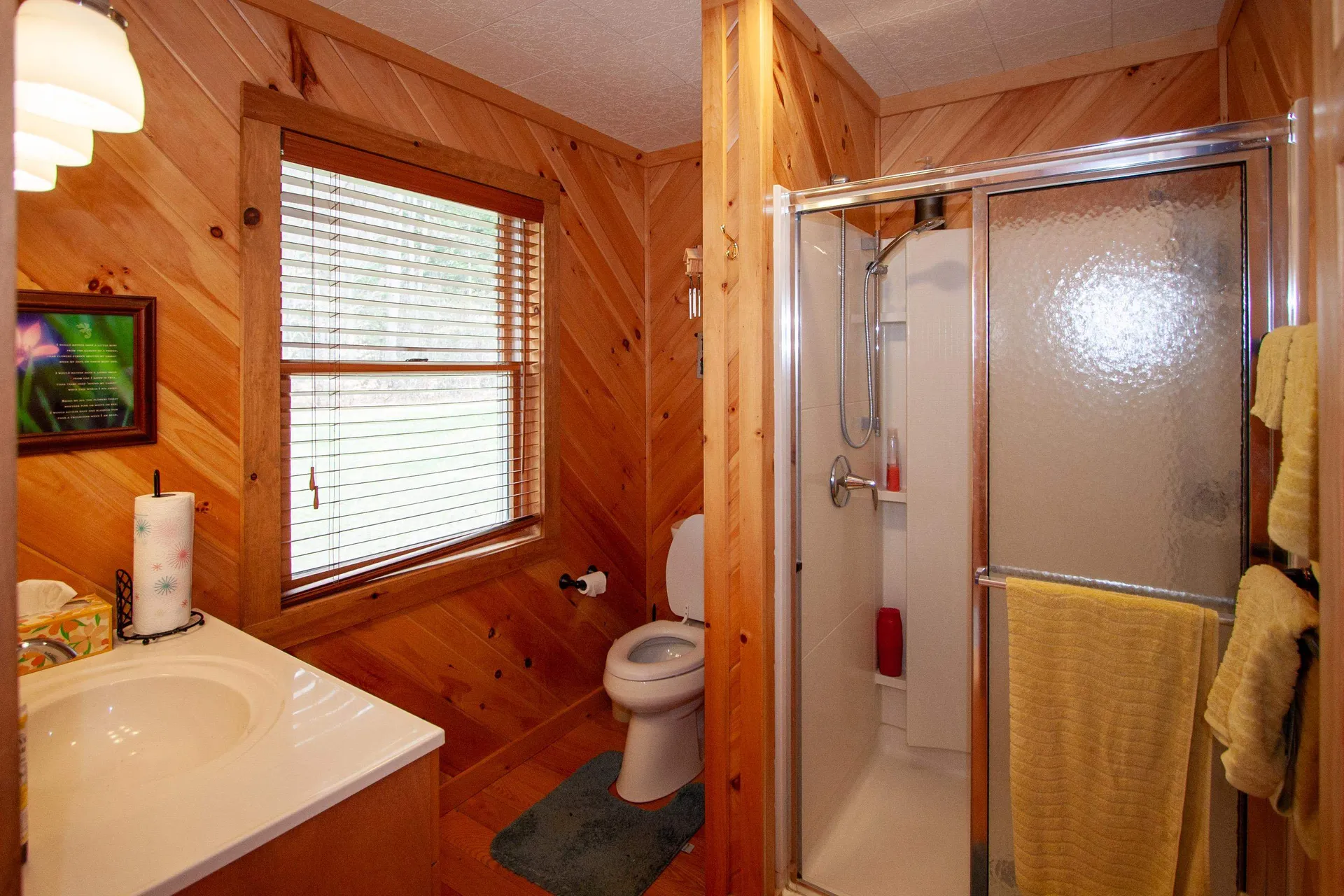 205 East Wells Road Wells VT 05774