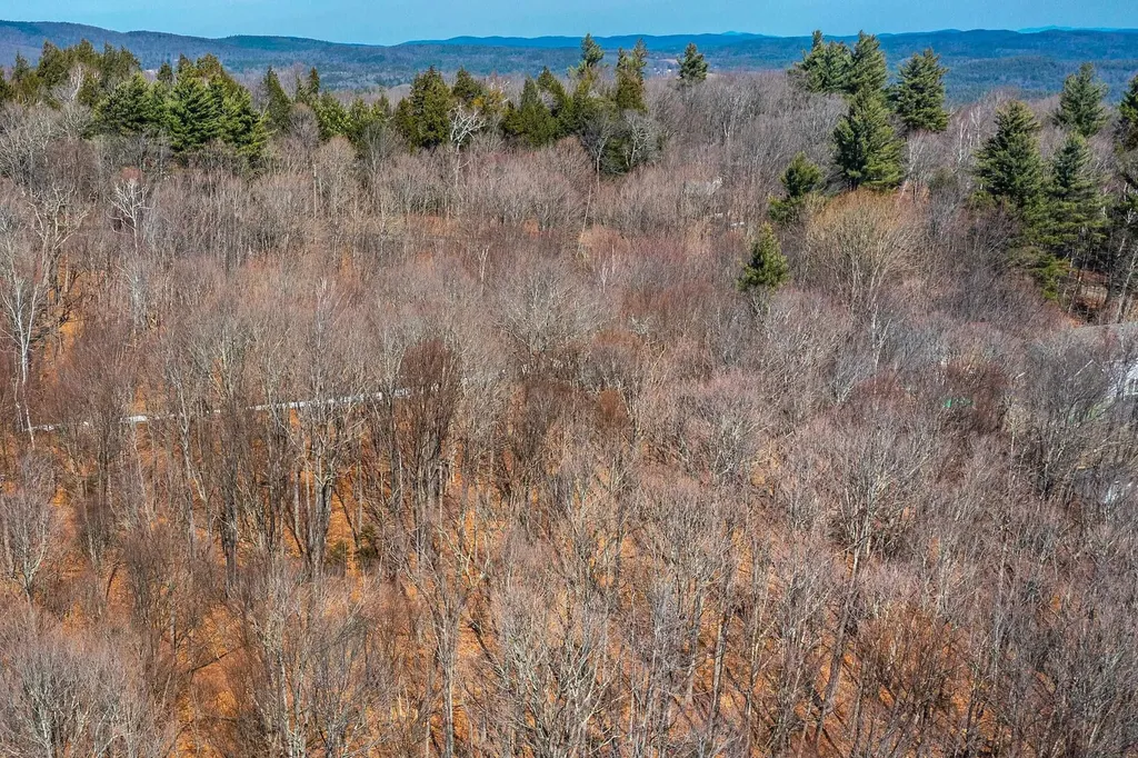 78 Captain Copeland Road Dover VT 05341