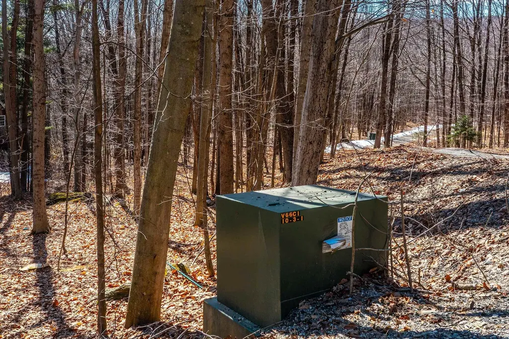 78 Captain Copeland Road Dover VT 05341